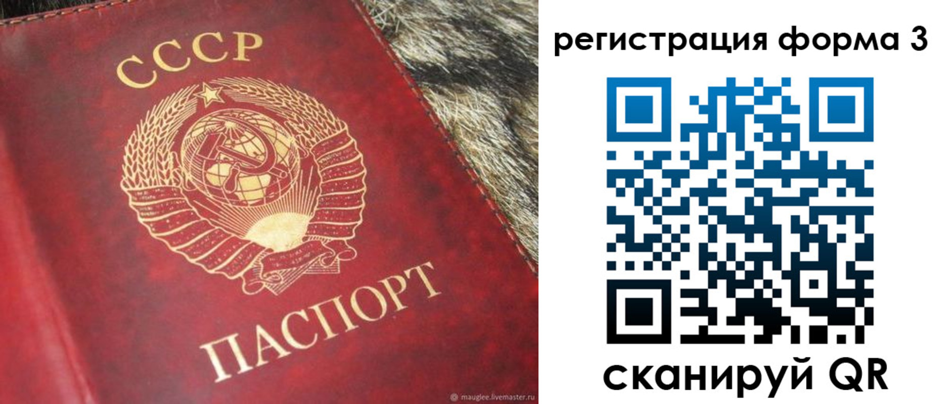 прописка регистрация в ЕАО